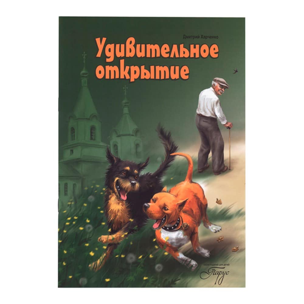 Удивительное открытие/ ИДХ