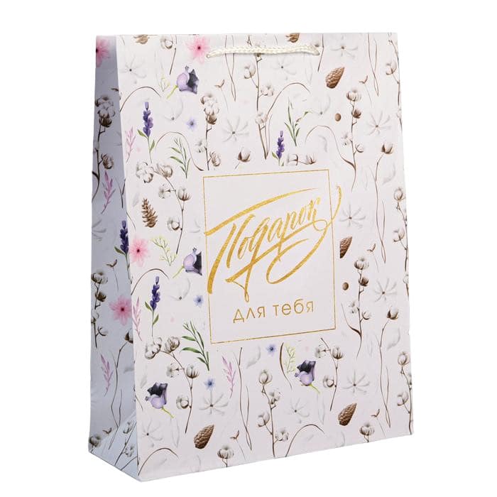 6582668 Пакет ламинированный Gift for you/ 31*40